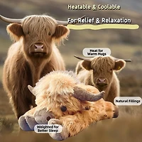 Novelty Plush – Highland Cow Weighted Plush - 11"
