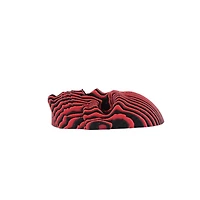 3D Treasures 3D-Printed Optical Illusion Morph Skull with Display Stand (1pc)