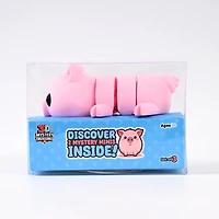 3D Mystery Treasures: Pig Fidget