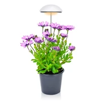 Grow-Pho: USB Powered LED Grow-Light for House Plants