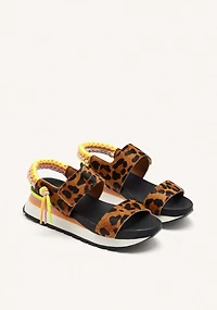 Gioseppo Leverett leopard