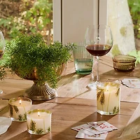 Fraiser fair candle set of 2 pine  needle