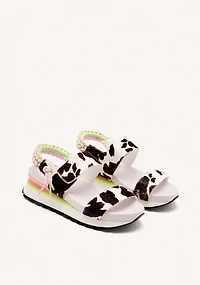 Gioseppo Leverett cow