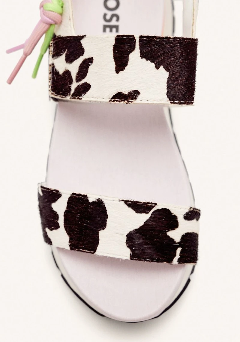 Gioseppo Leverett cow