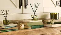 Fraiser fair petite pine needle diffuser