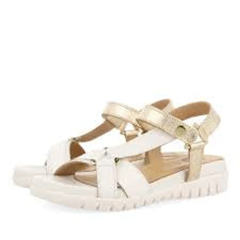 Gioseppo Nambour white