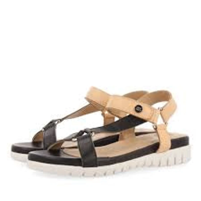 Gioseppo Nambour Black