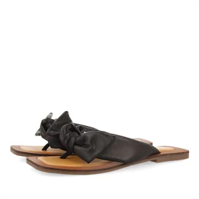Gioseppo Acucena black