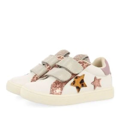 Gioseppo cloghan leopard