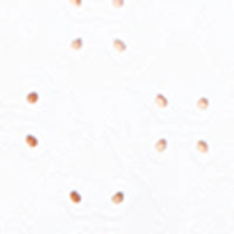 Short-sleeve semi-fitted t-shirt