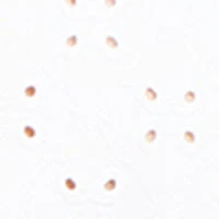 Short-sleeve semi-fitted t-shirt