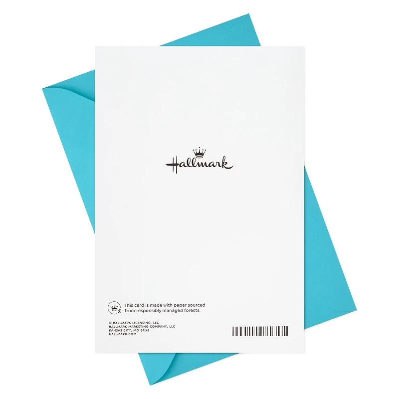 Hallmark Anniversary Card (Soul Mates, Pandas)