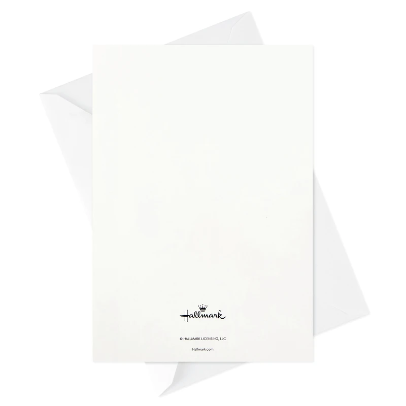 Hallmark Assorted Birthday Greeting Cards (12 Cards and Envelopes)