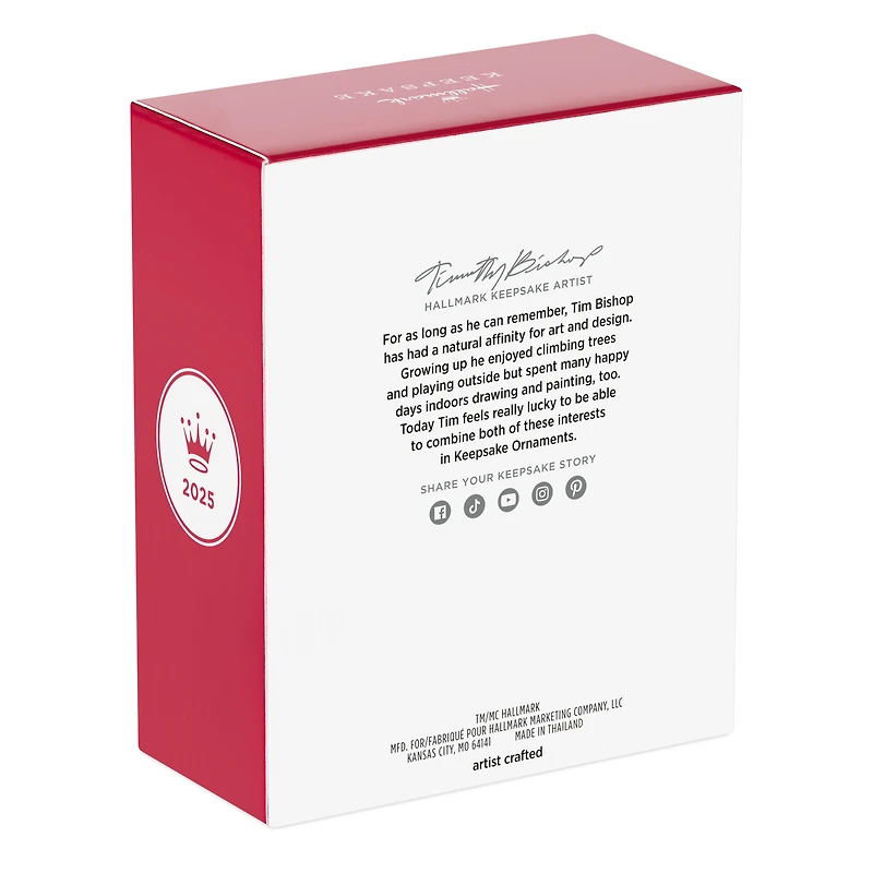 Hallmark Keepsake Christmas Ornament (Harry Potter and the Sorcerer's Stone Mirror of Erised)