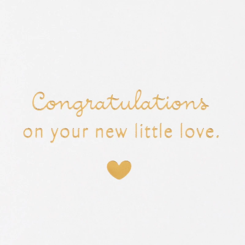 Hallmark Baby Shower Card (World Is Never the Same)