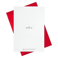 Hallmark Birthday Cards Assortment, 16 Cards with Envelopes (Make a Wish)