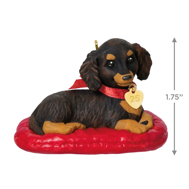 Hallmark Keepsake Christmas Ornament (Puppy Love Long-Haired Dachshund 2025)