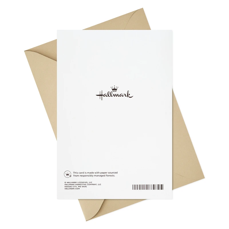 Hallmark 25th Anniversary Card for Couple (Here's to You Two)