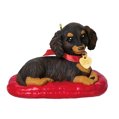 Hallmark Keepsake Christmas Ornament (Puppy Love Long-Haired Dachshund 2025)