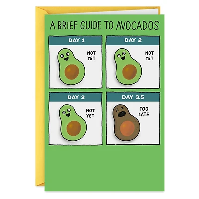 Shoebox Funny Birthday Card (Guide to Avocados)