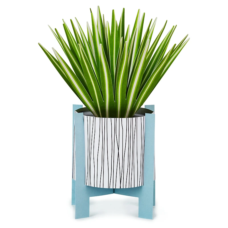 Spider Plant Keep Growing 3D Pop-Up Hello Card