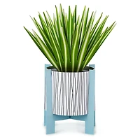 Spider Plant Keep Growing 3D Pop-Up Hello Card