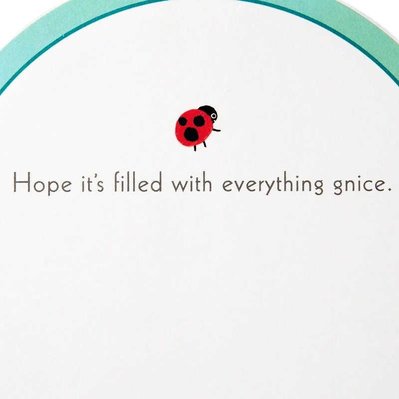 Paper Wonder Displayable Pop Up Birthday Card (Gnomes)