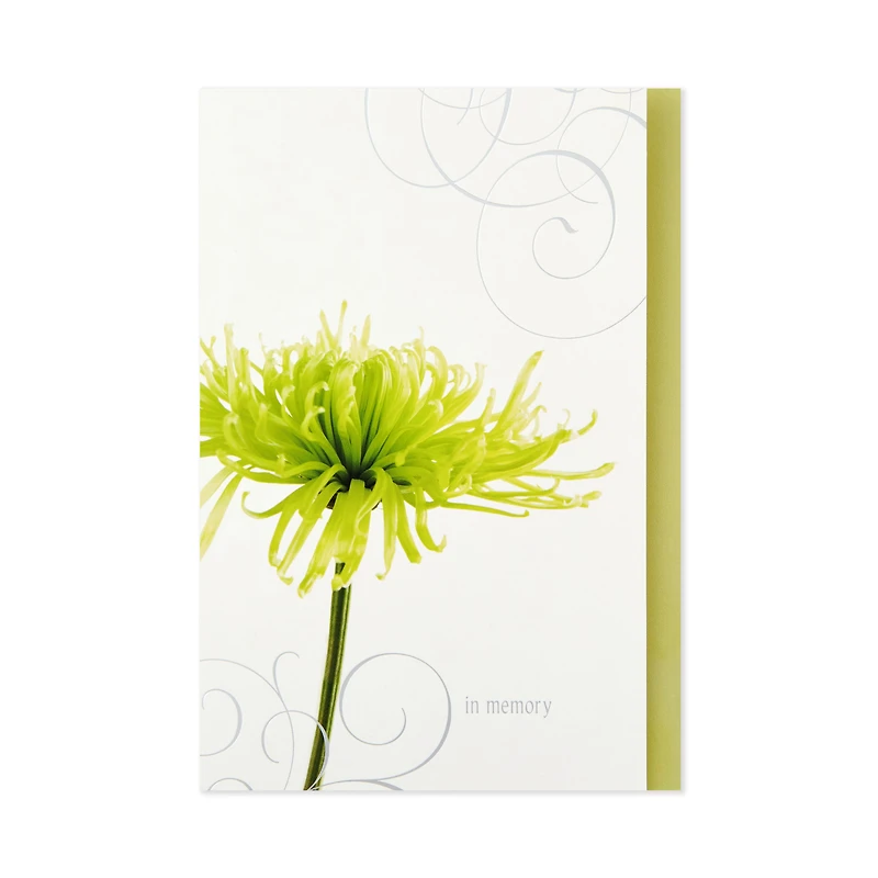Assorted Sympathy Cards (Flowers, 12 Cards and Envelopes)