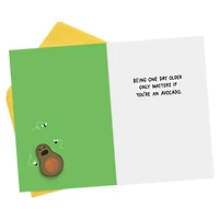Shoebox Funny Birthday Card (Guide to Avocados)