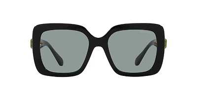 SK6001