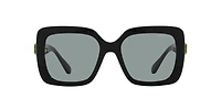SK6001