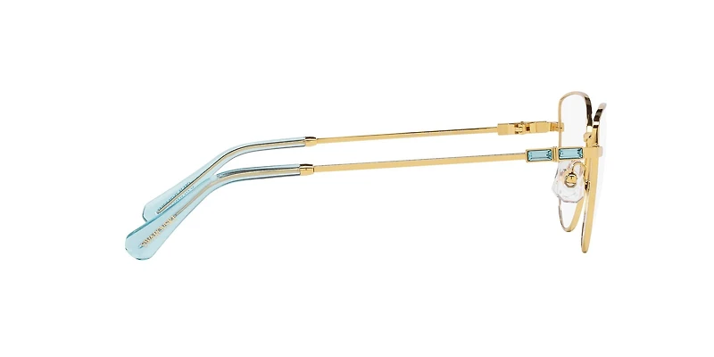 SK1007