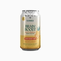 Brain Boost Energy Seltzer