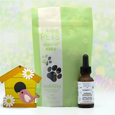 Movin' Easy Pet Chews + Tincture Bundle