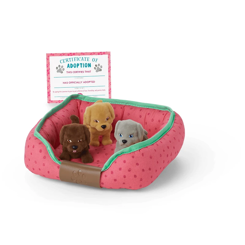 Dog Lover Basket