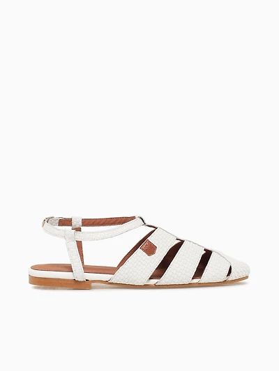 Zagare Treccia Blanco