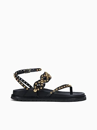 Zerlina Preto Ouro mestico
