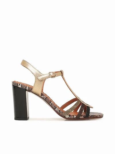 Babi Champan Negro Cobre dali Luni