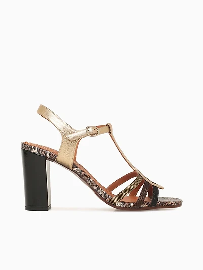 Babi Champan Negro Cobre dali Luni