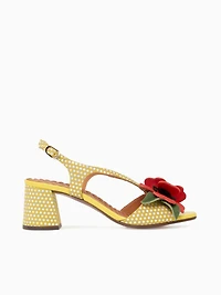 Rymane Lemon Tomate Sun dotto Ante Linda