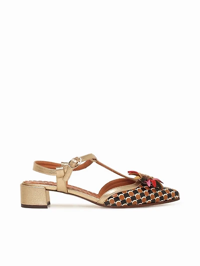 Heleni Cuero Champan tego Dali