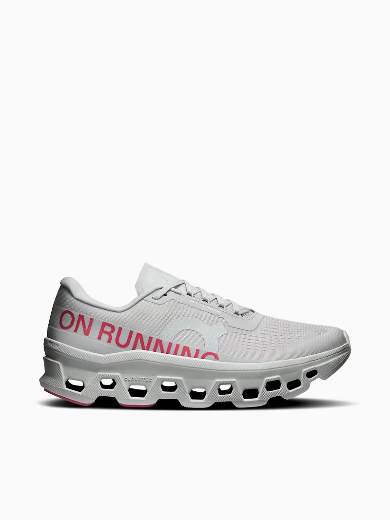 Cloudmonster 1 Silver Camelia mesh