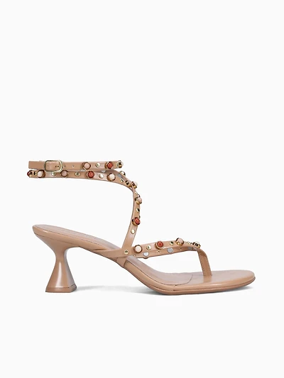 Zinnia Angelim Pampa