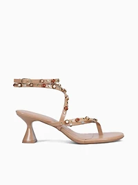 Zinnia Angelim Pampa