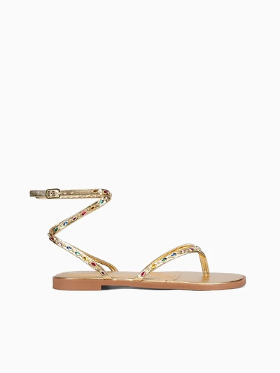 Ziva Ouro Colorido chroma