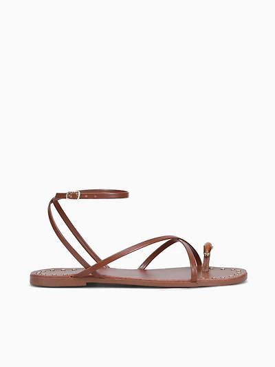 Zosia Nogueira Pampa