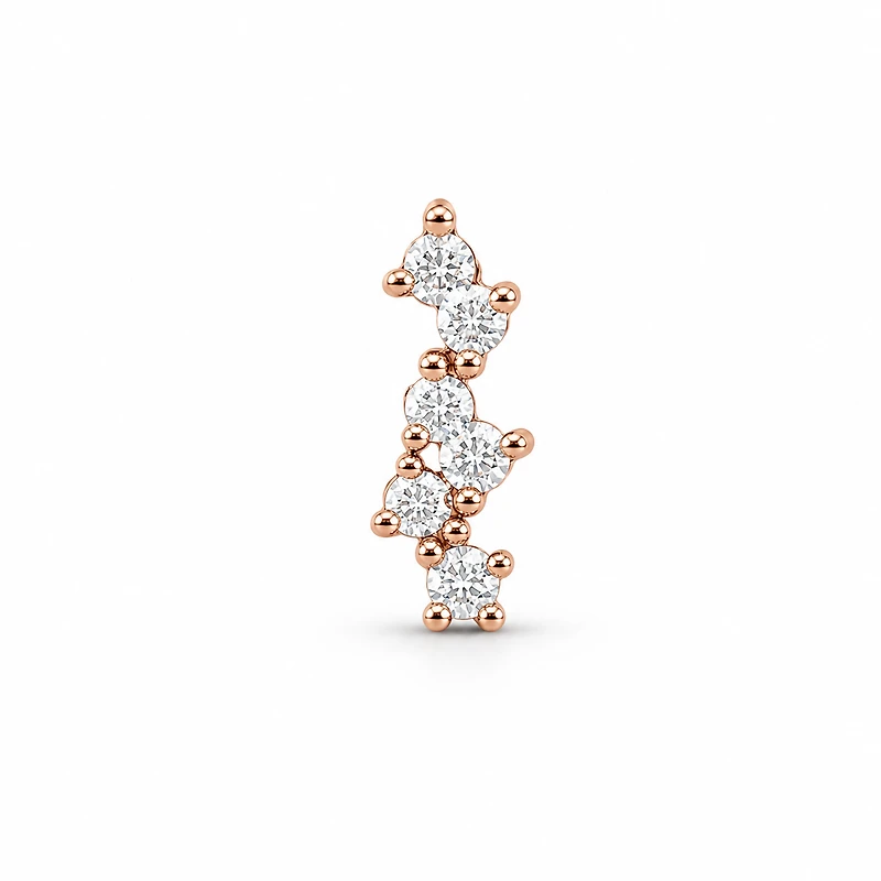 Cluster Earrings