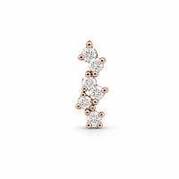 Cluster Earrings