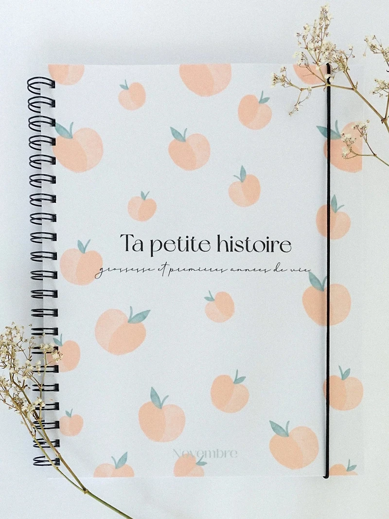 Livres de grossesse et bébé (Ta petite histoire)