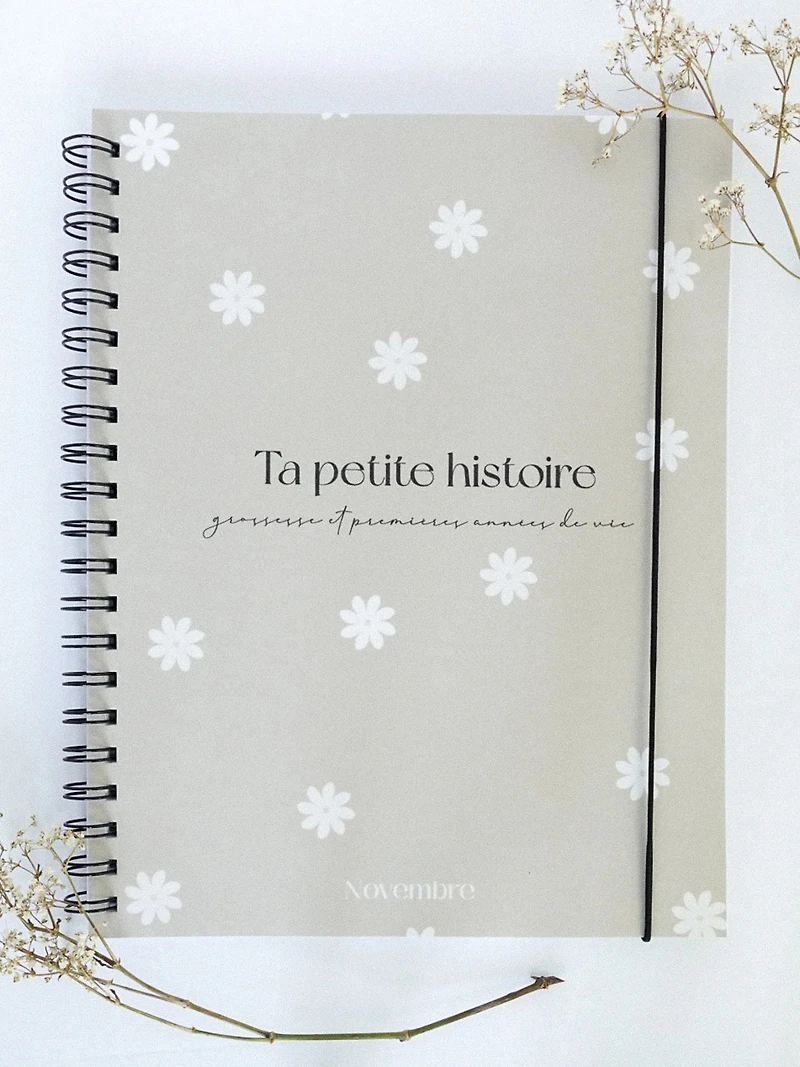 Livres de grossesse et bébé (Ta petite histoire)